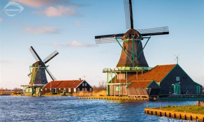 Cảnh đồng quê Hà Lan: Khu đồng quê Zaanse Schans