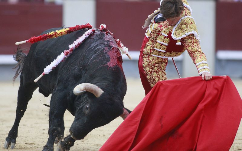 Đấu trường bò tót Monumental tại Barcelona