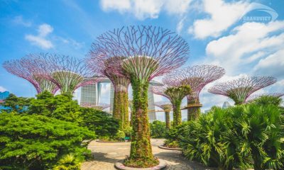 Gardens by the Bay