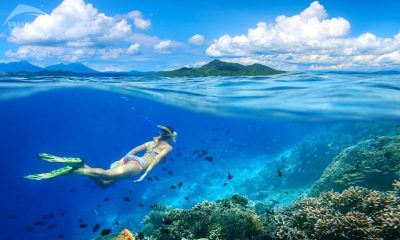 Lặn snorkeling tại đảo Cá Sấu