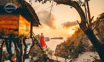 Nhà trên cây Tree house “Rumah Pohon”