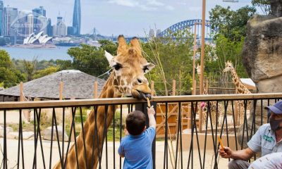 Taronga zoo - Tour du lịch Úc