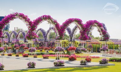 Vườn Hoa Miracle Garden