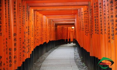 Đền ngàn cột - Nhật Bản