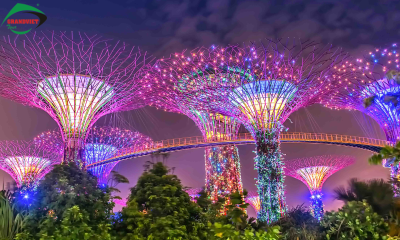 Garden by the Bay du lịch Singapore