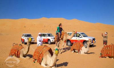 Khám phá Sa Mạc Safari - Du lịch Dubai