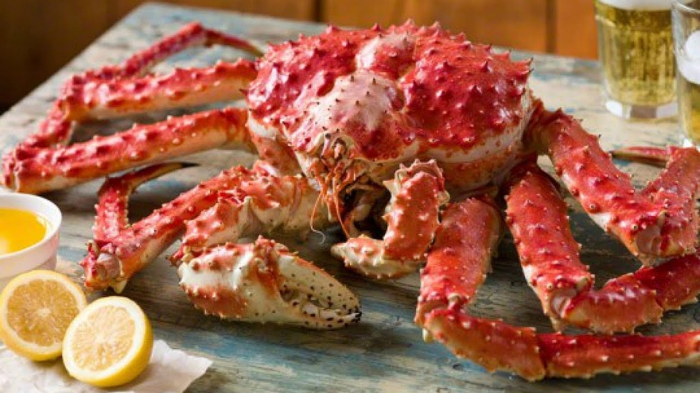 king-crab