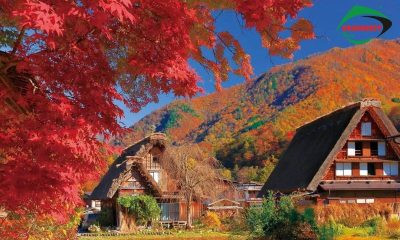 Làng cổ Shirakawago