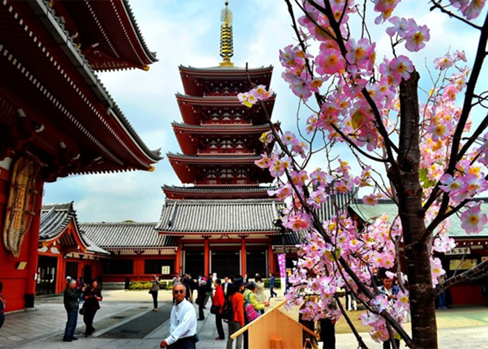 Ngôi đền cổ Asakusa