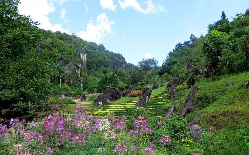 Hàm Rồng - Bức tranh thiên nhiên màu sắc đầy sức sống