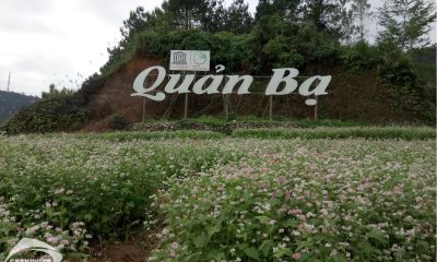 Quản Bạ