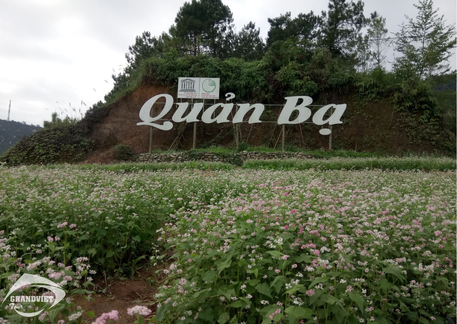 Quản Bạ