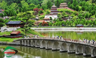 Trung Tâm Hoa Cẩm Tú