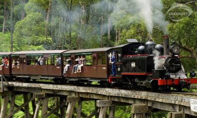 Xe lửa hơi nước Puffing Billy - Tour du lịch Úc