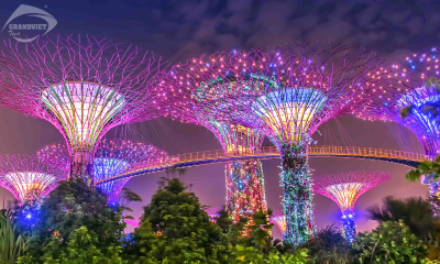 Garden by the Bay - Du lịch Singapore