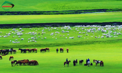 Tour Nội Mông Cổ