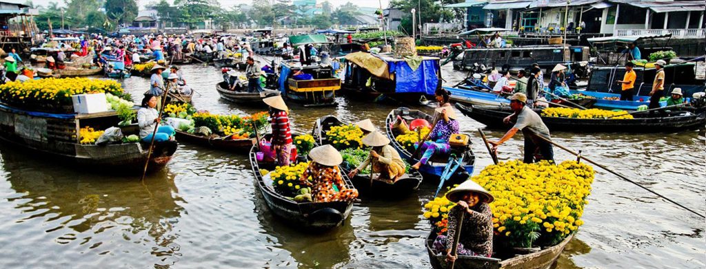 Công ty TNHH Du Lịch Quốc Tế Đại Việt