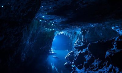 Waitomo caves - du lịch Úc Newzealand