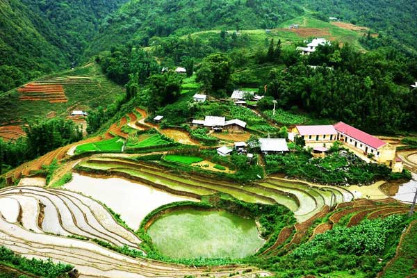 Ruộng bậc thang tại Sa Pa