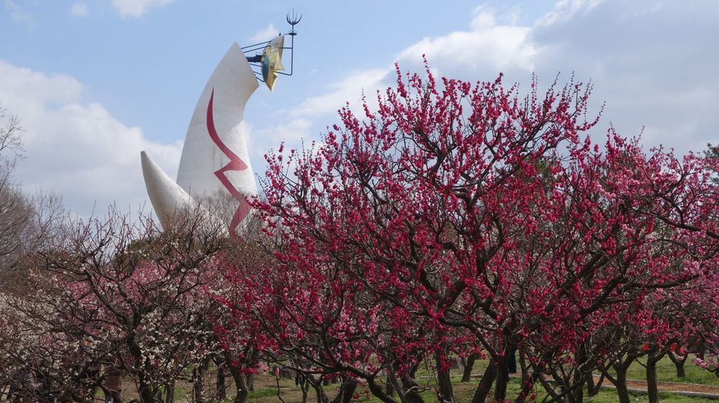 banpaku kinen koen