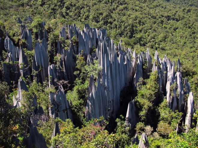 gunung mulu