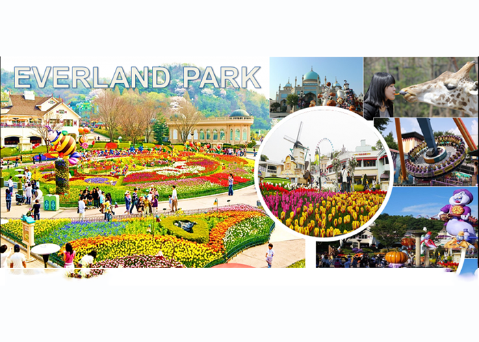 Công viên Everland với nhiều loại hình giải trí hấp dẫn