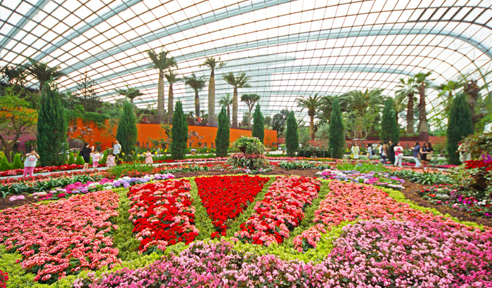 Flower-dome-Singapore