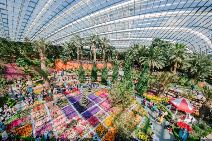 flower-field-hall