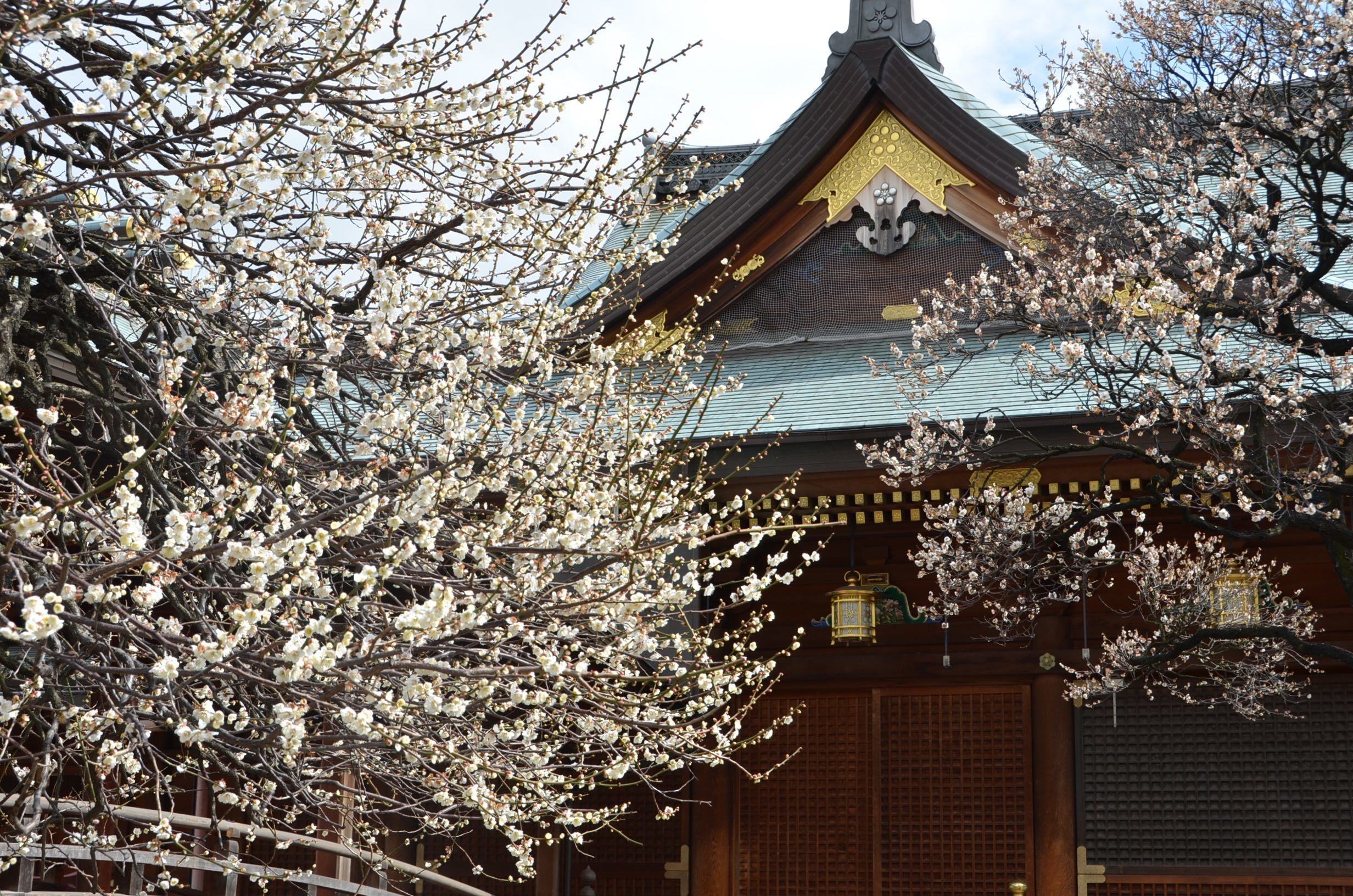 kameido tenjin jinja