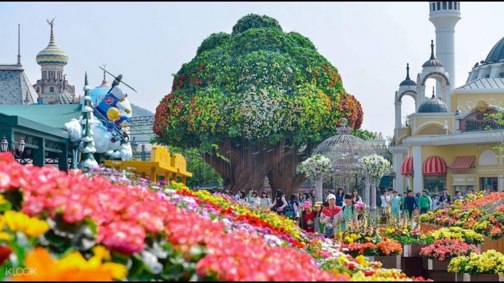 everland han quoc