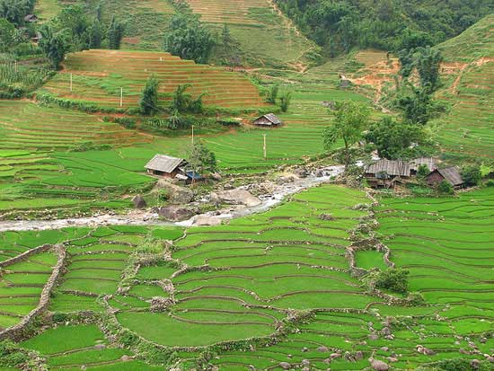 Bản Lao Chải