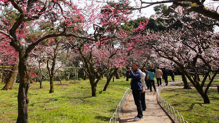 naritasan koen