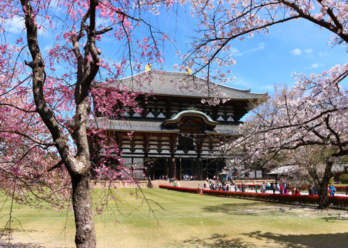 Chùa Todaiji