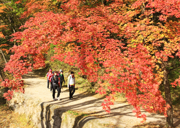 Nui-Naejangsan-Jeongeup-si-Jeollabuk-do