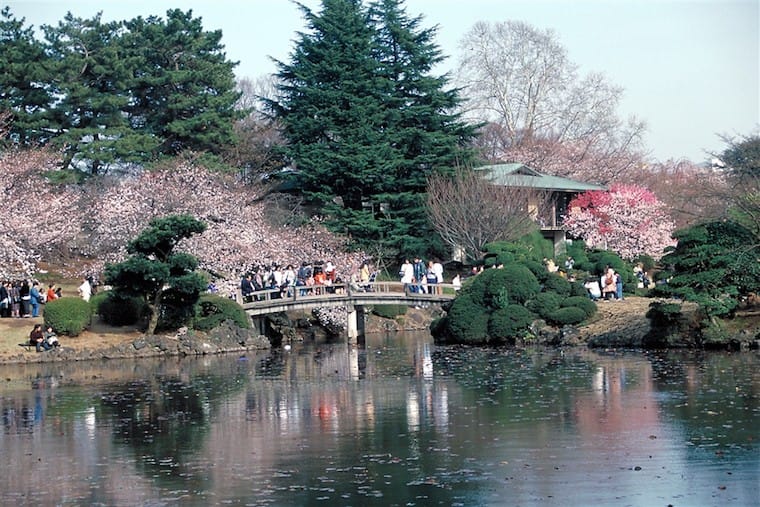 shinjuku gyoen