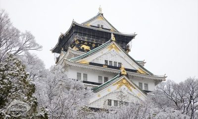 Lâu đài Osaka mùa đông - Tour du lịch Nhật bản